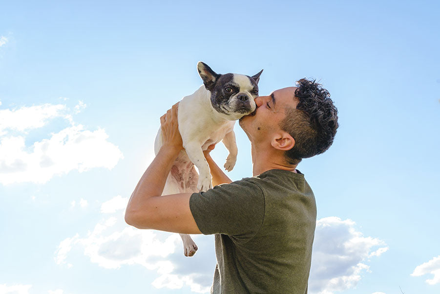 18-gift-ideas-for-pet-owners-uproot-clean