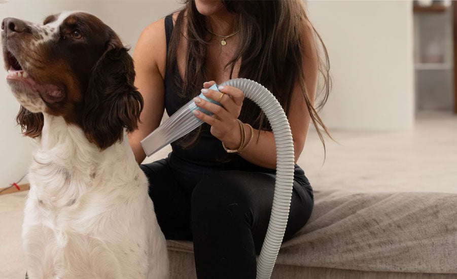 How to Use a Grooming Vacuum for Dogs – Uproot Clean