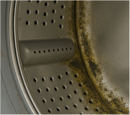Mold and mildew before cleaning