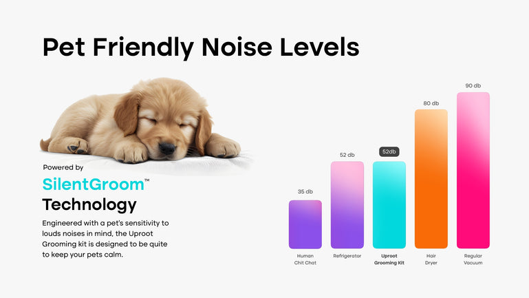 Pet Friendly Noise Levels