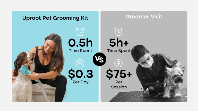 Save Time and Money with Pet Grooming Kit