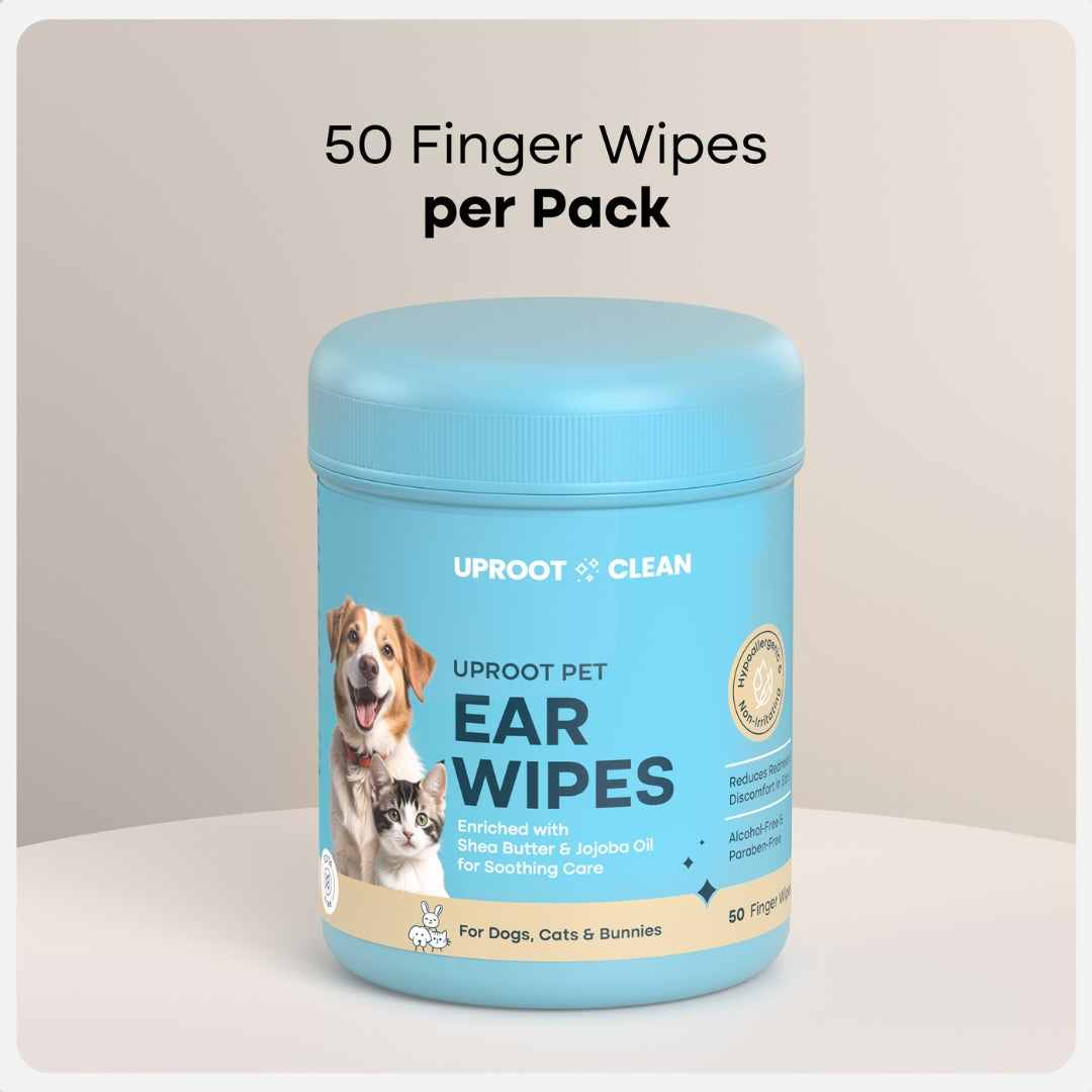 Is Uproot Clean Legit