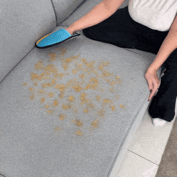 Pet hair remover glove cleaning couch