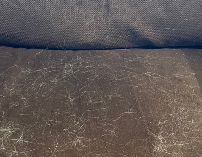A brown couch cushion is about 60% covered with white animal hair.
