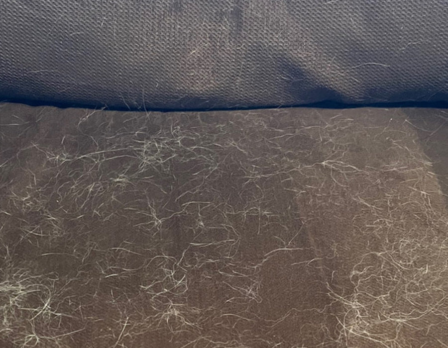 A brown couch cushion is about 60% covered with white animal hair.