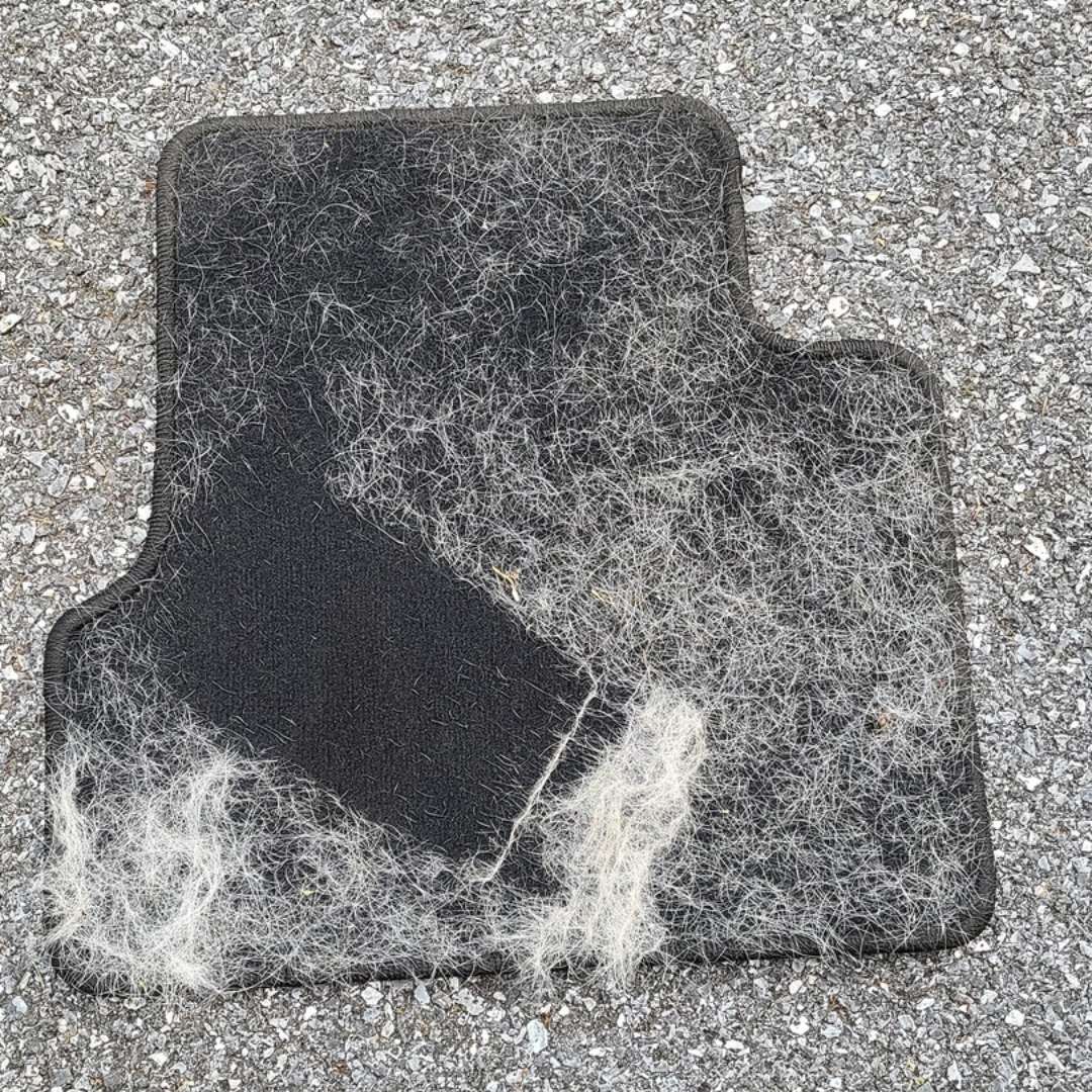 Pet hair removed from car mat